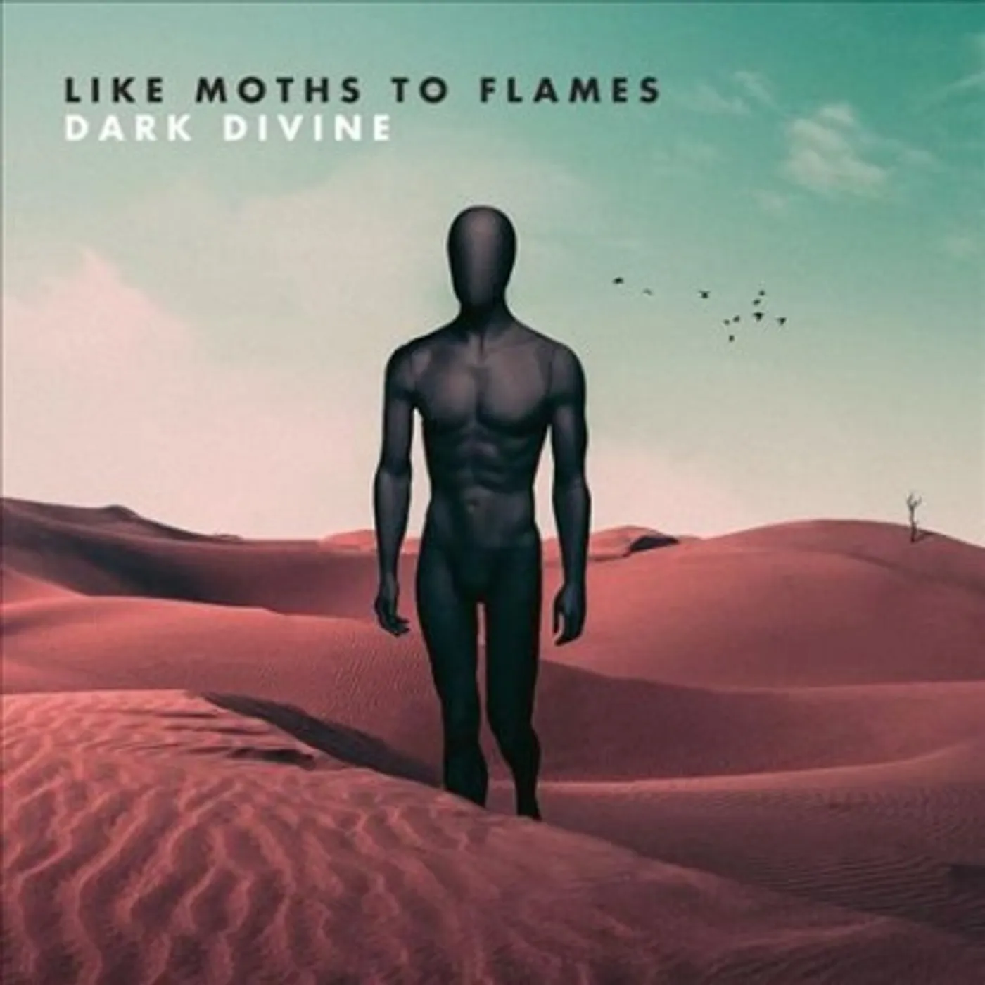 Like Moths To Flames Dark Divine Vinyl Record
