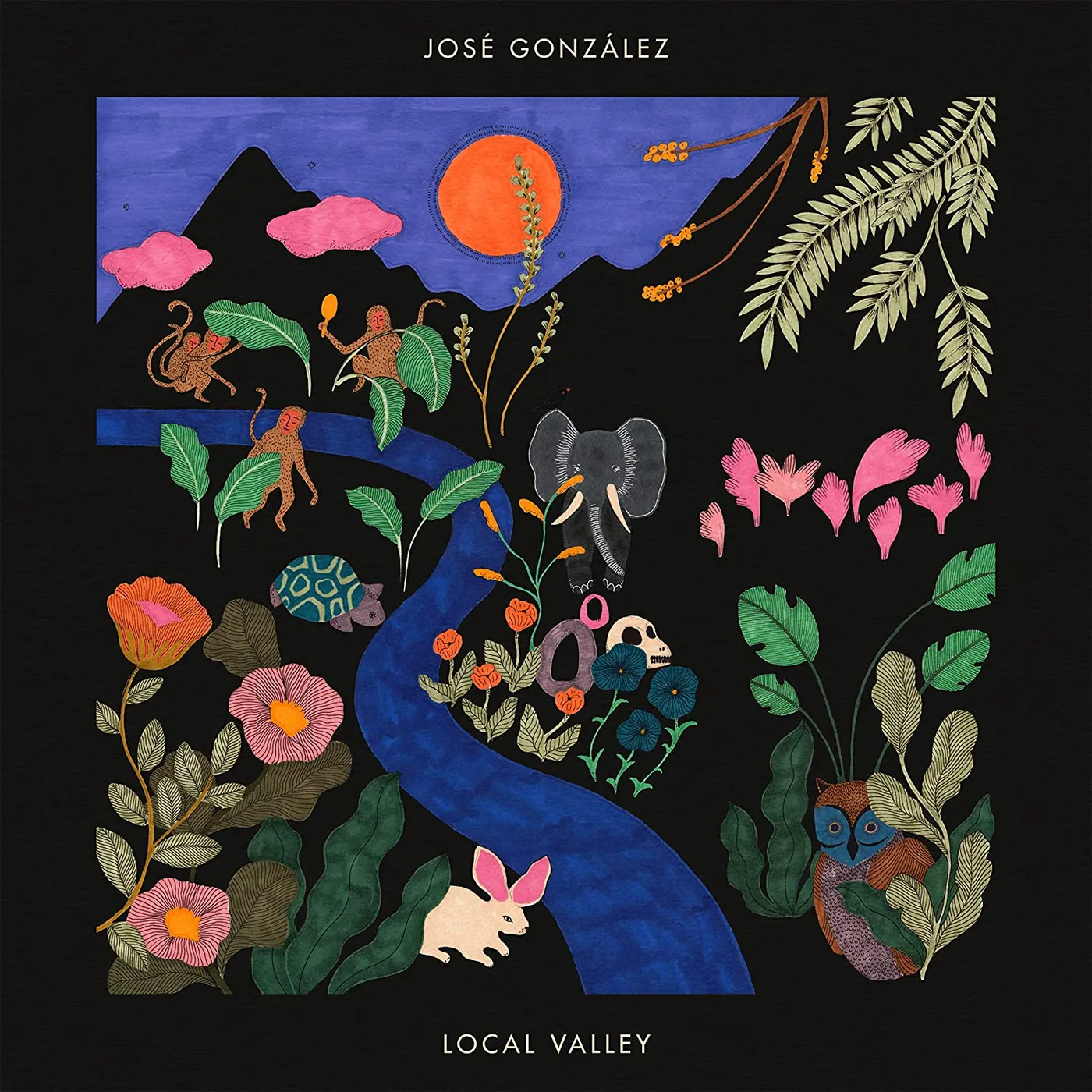José González Local Valley Vinyl Record