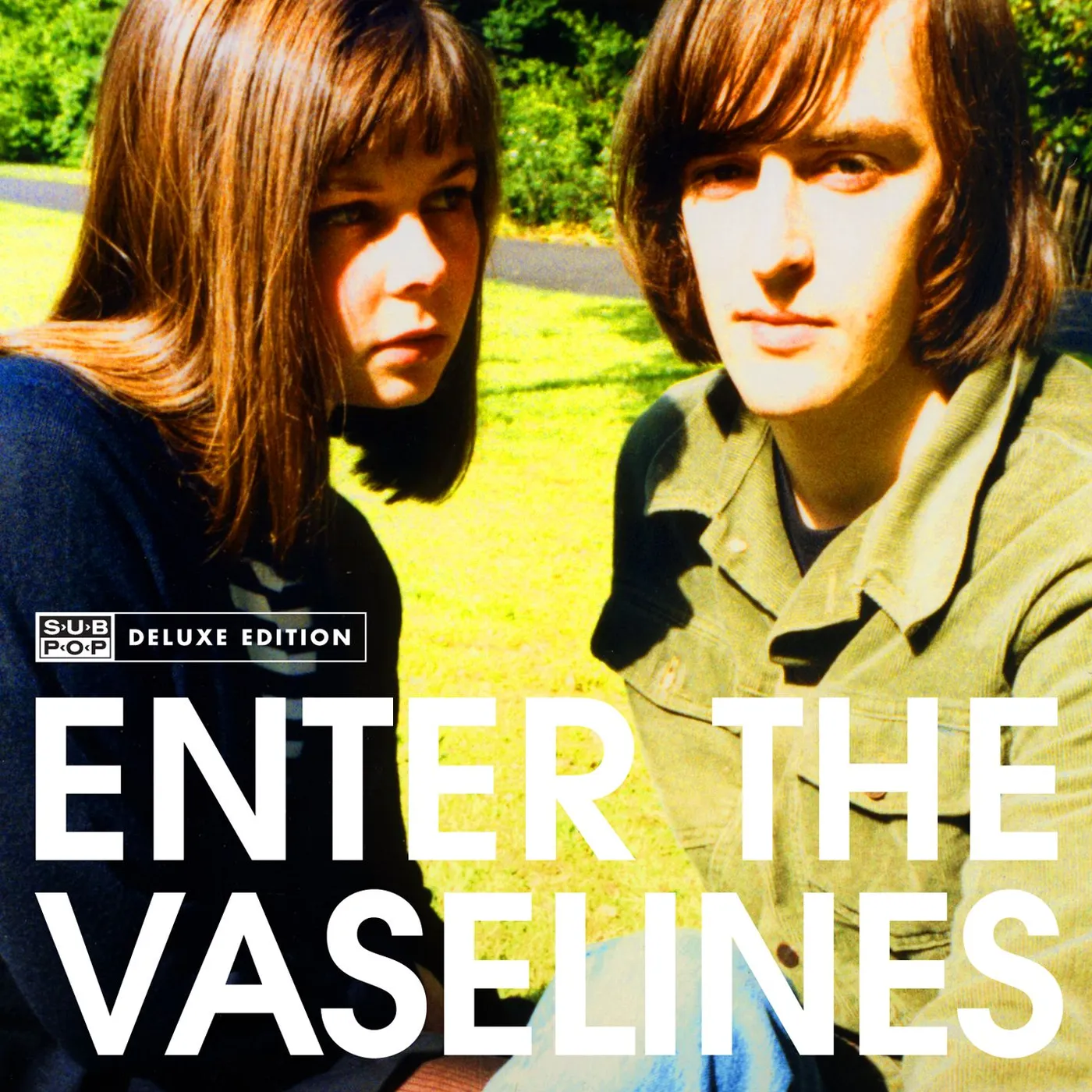 Enter The Vaselines Vinyl Record