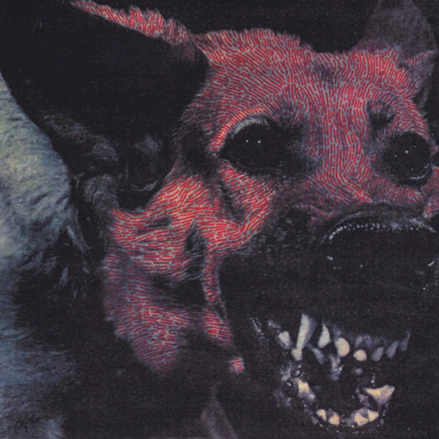 Protomartyr Under Color of Official Right Vinyl Record