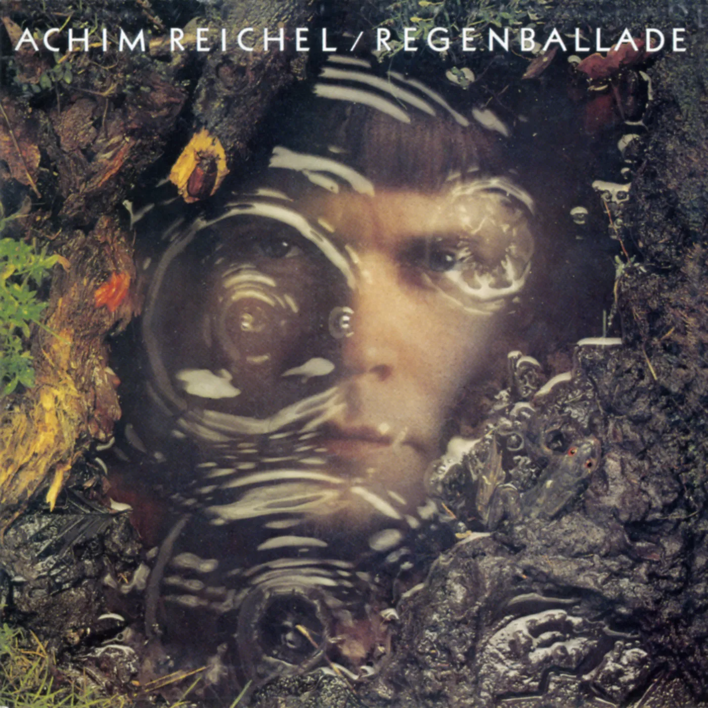 Achim Reichel Regenballade Vinyl Record