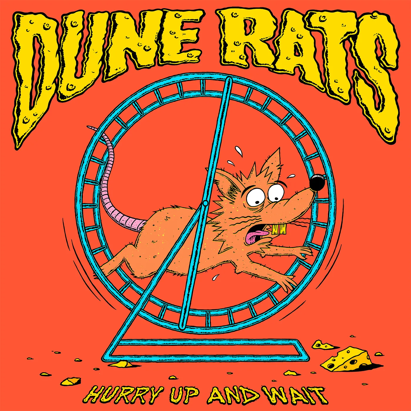 Dune Rats Hurry up and wait Vinyl Record