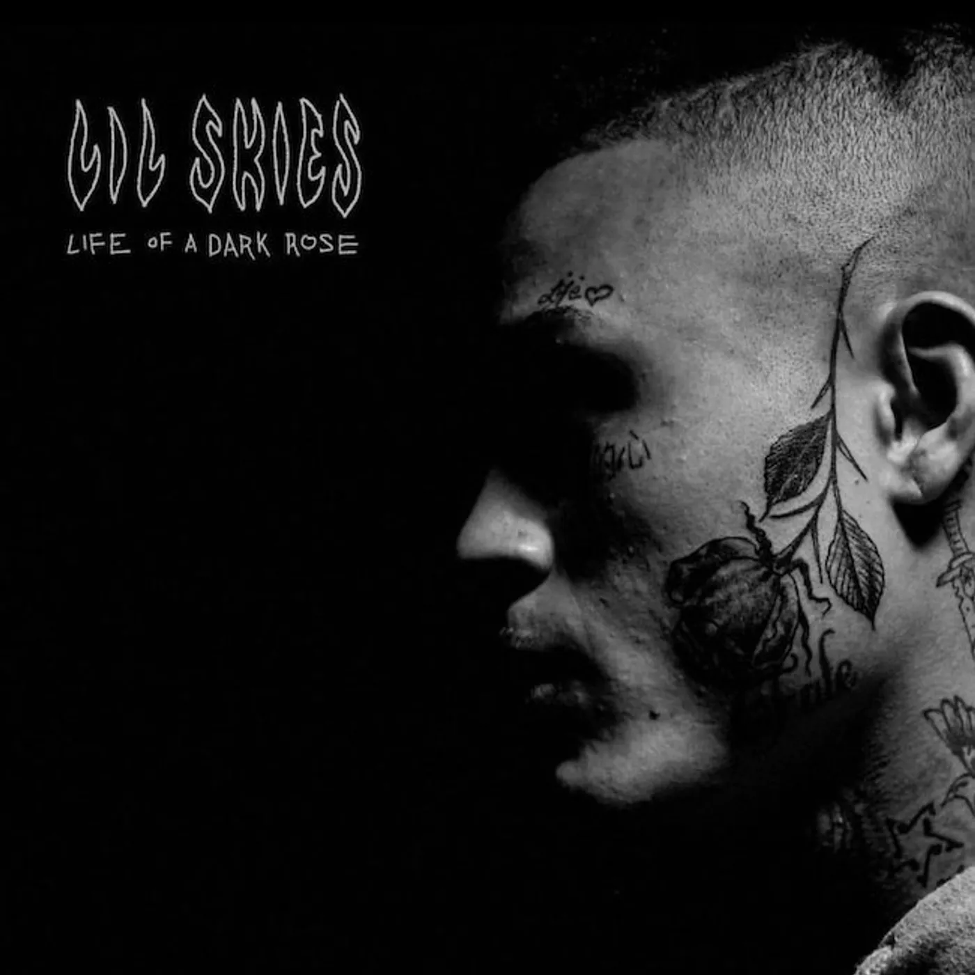 Lil Skies Life Of A Dark Rose vinyl record