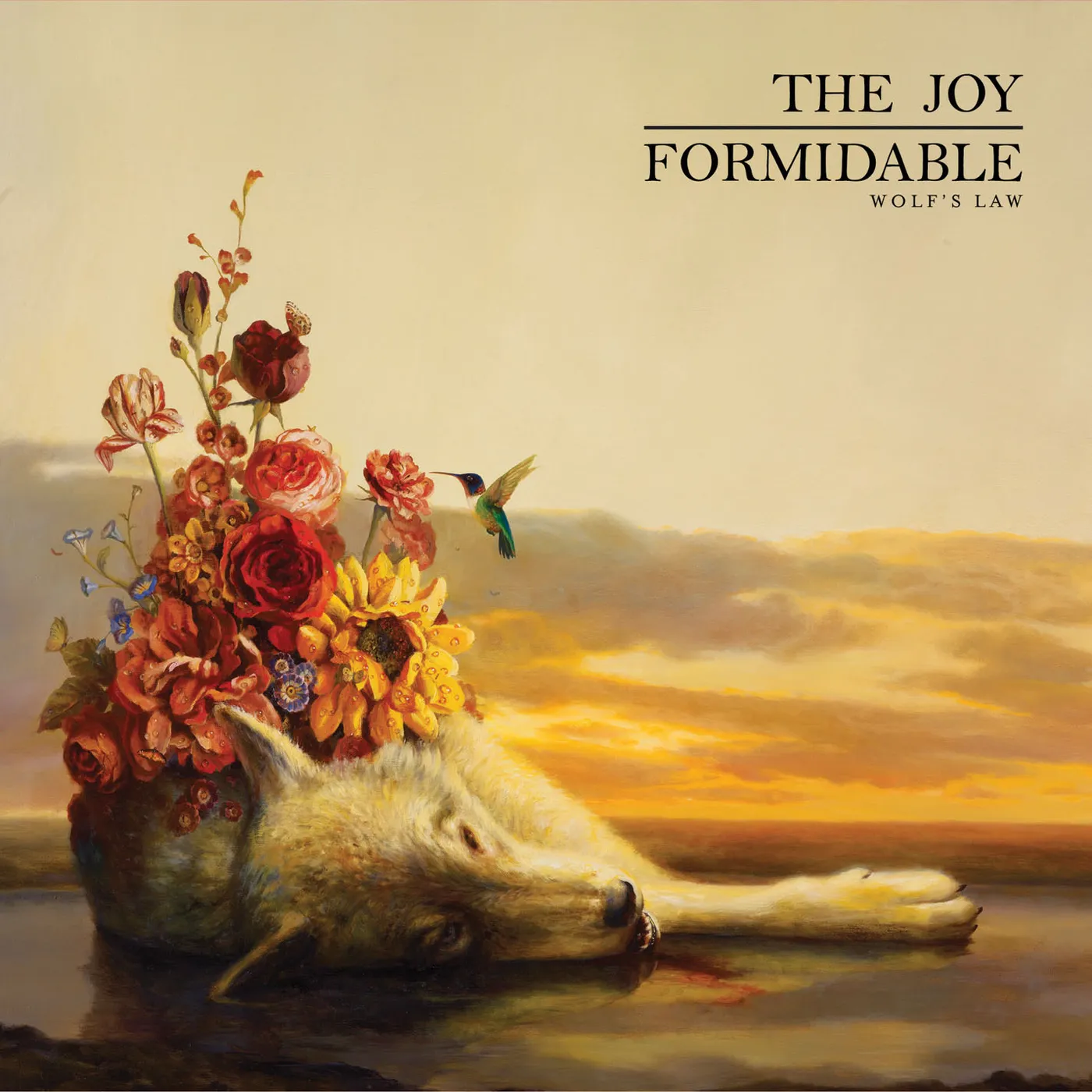The Joy Formidable Wolfs Law Vinyl Record
