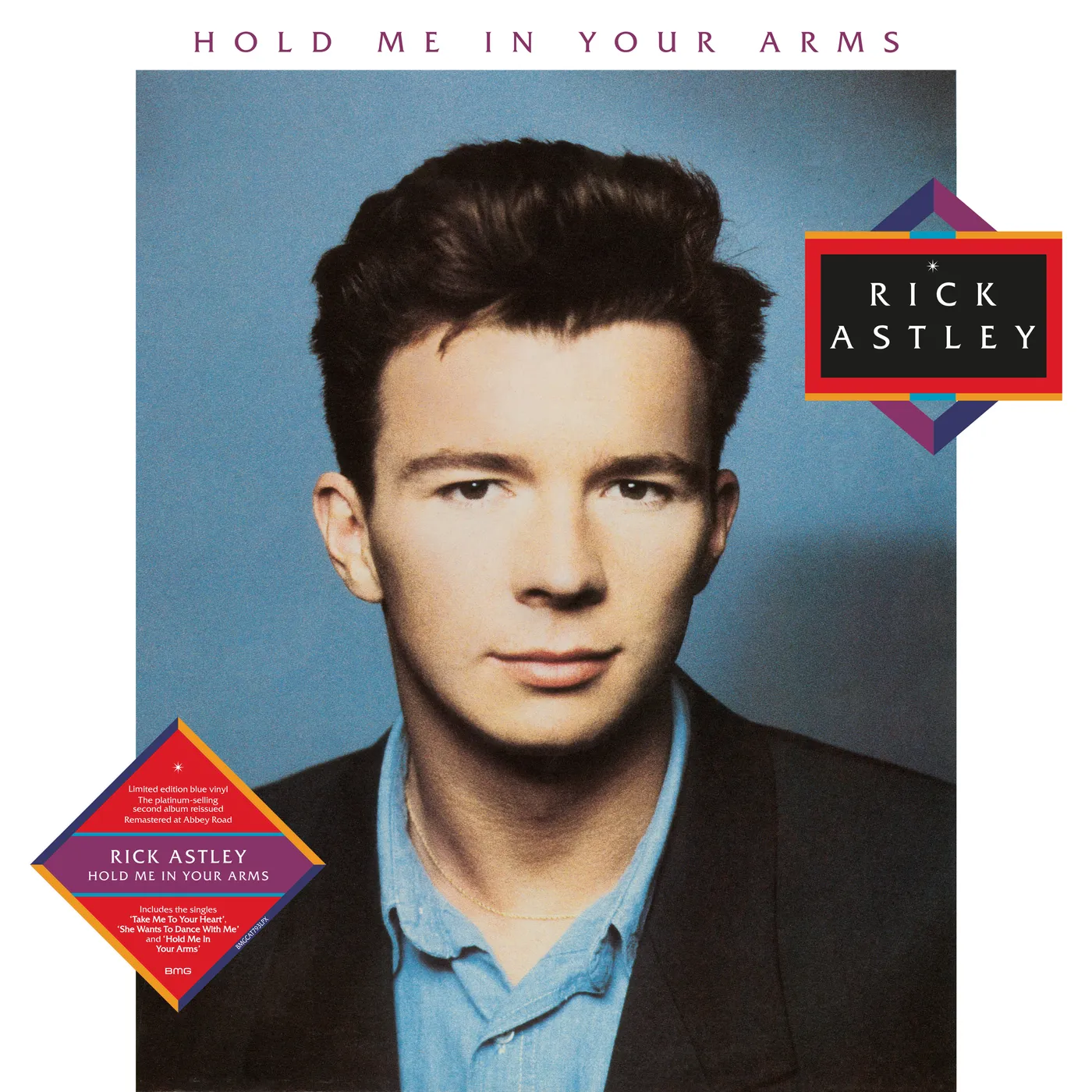 Rick Astley Hold Me In Your Arms Vinyl Record