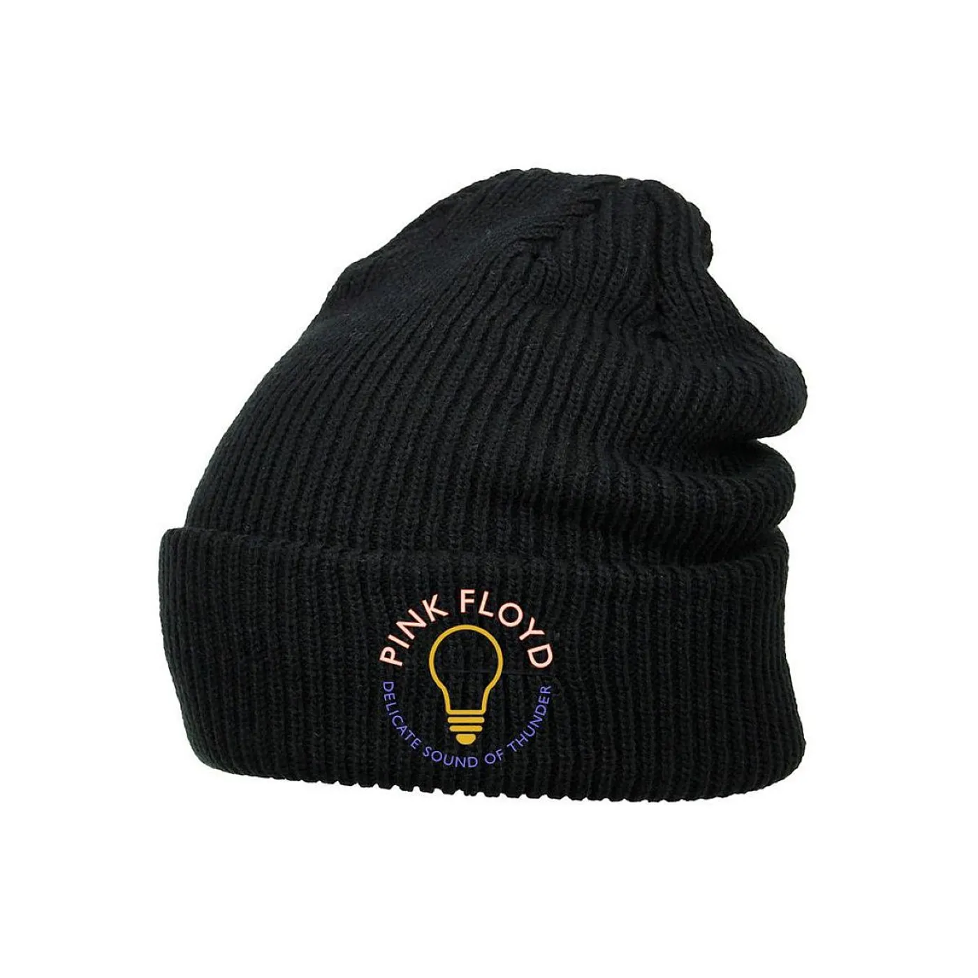 Pink Floyd Delicate Sound of Thunder Beanie