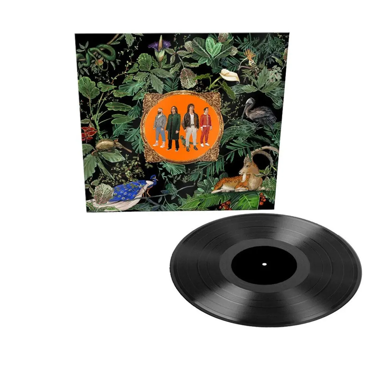 DON BROCO Amazing Things