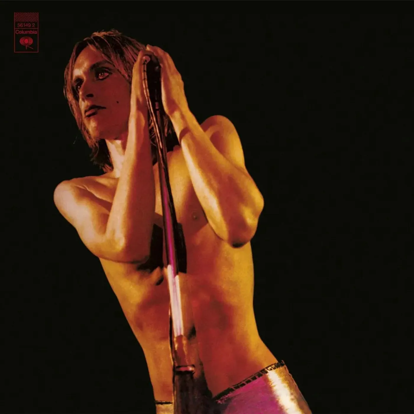 Iggy Pop Iggy & The Stooges - Raw Power