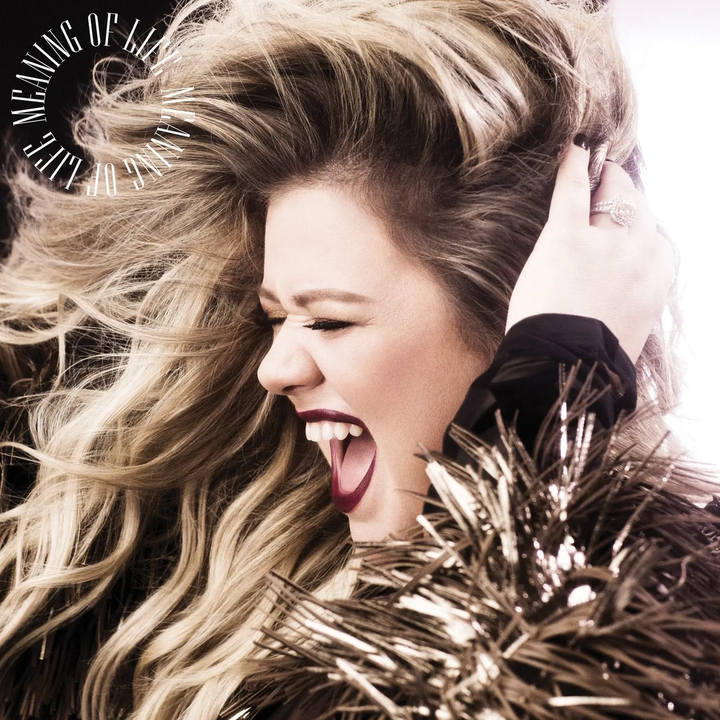 Kelly Clarkson Kelly Carkson - Meaning Of Life