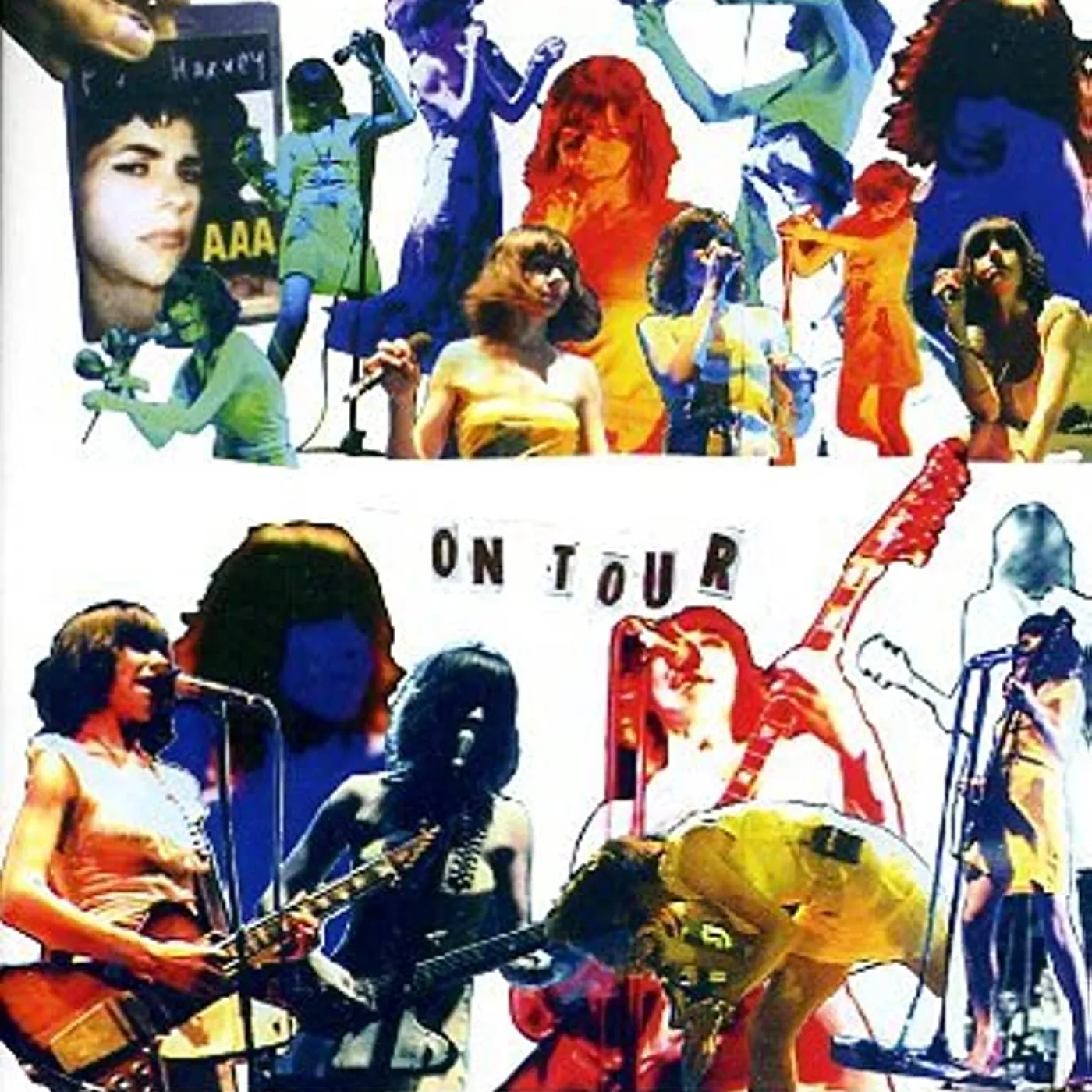 PJ Harvey - On Tour: Please Leave Quietly DVD