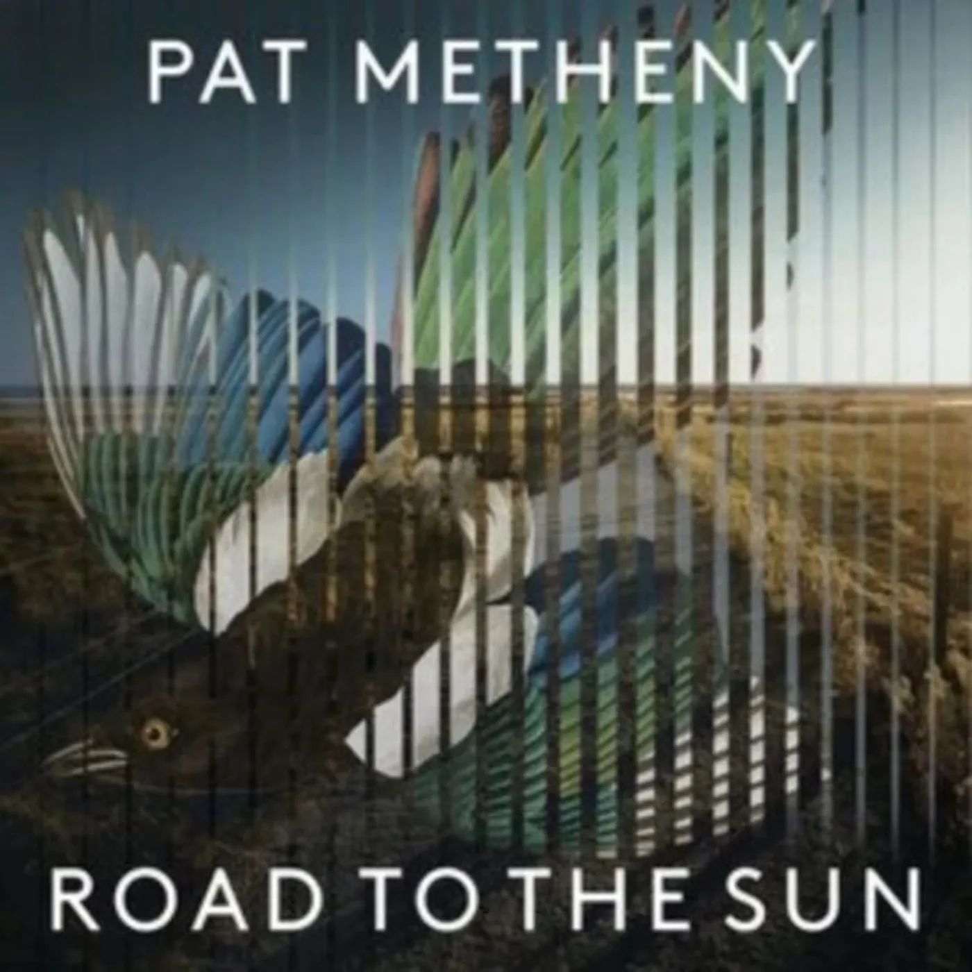 Pat Metheny Group - Road to the Sun (Vinyl)