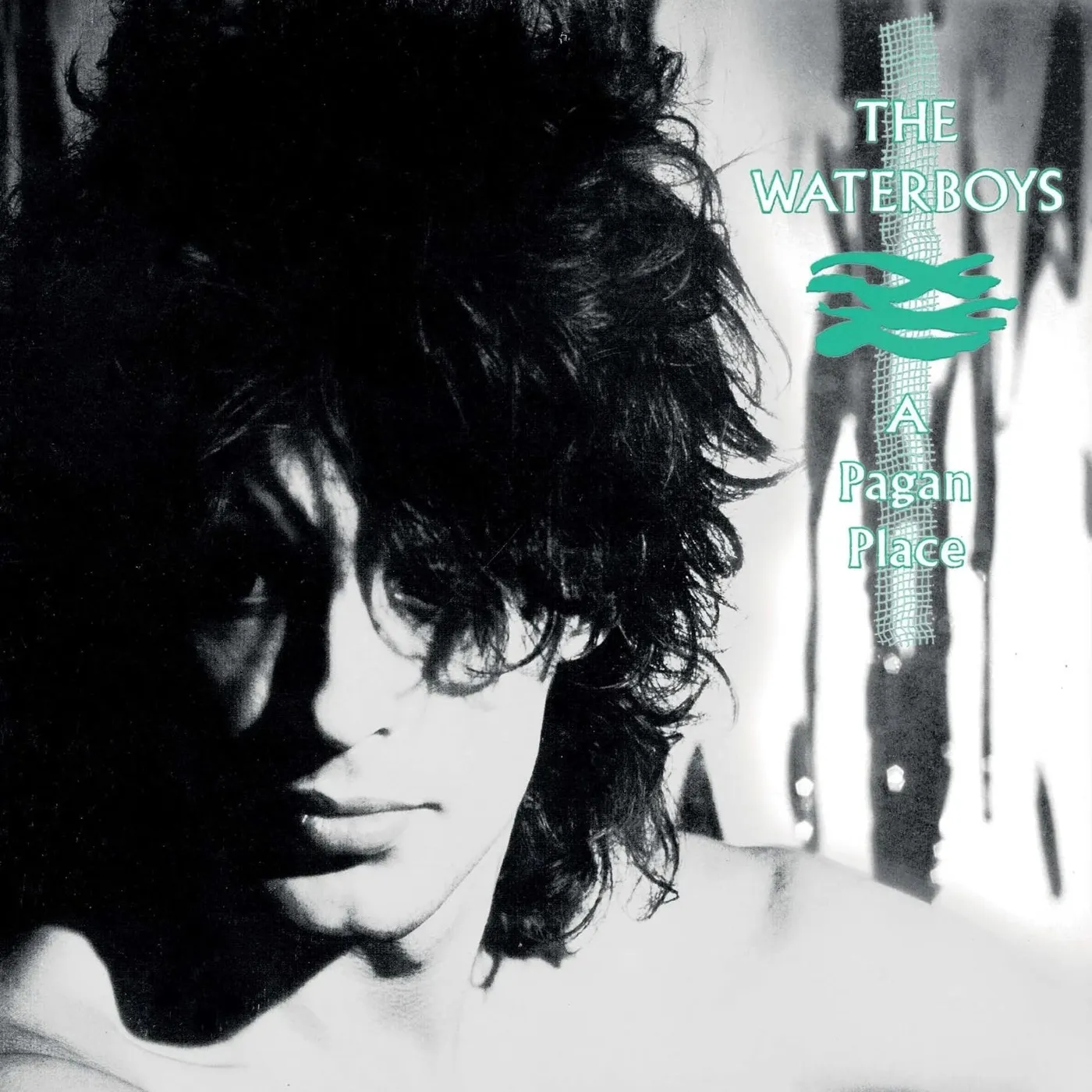 The Waterboys - A Pagan Place