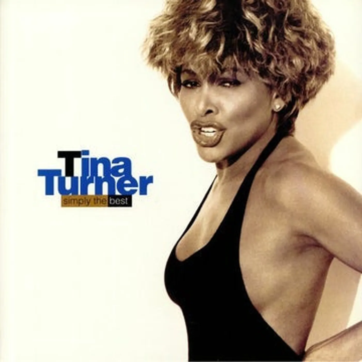 Tina Turner Simply The Best