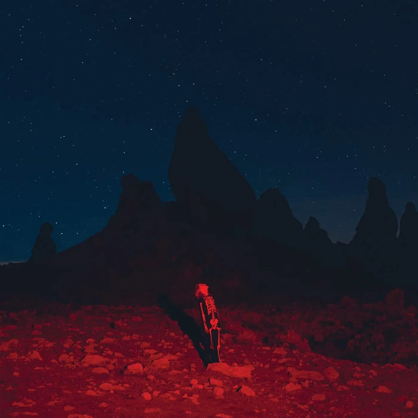 Phoebe Bridgers - Punisher