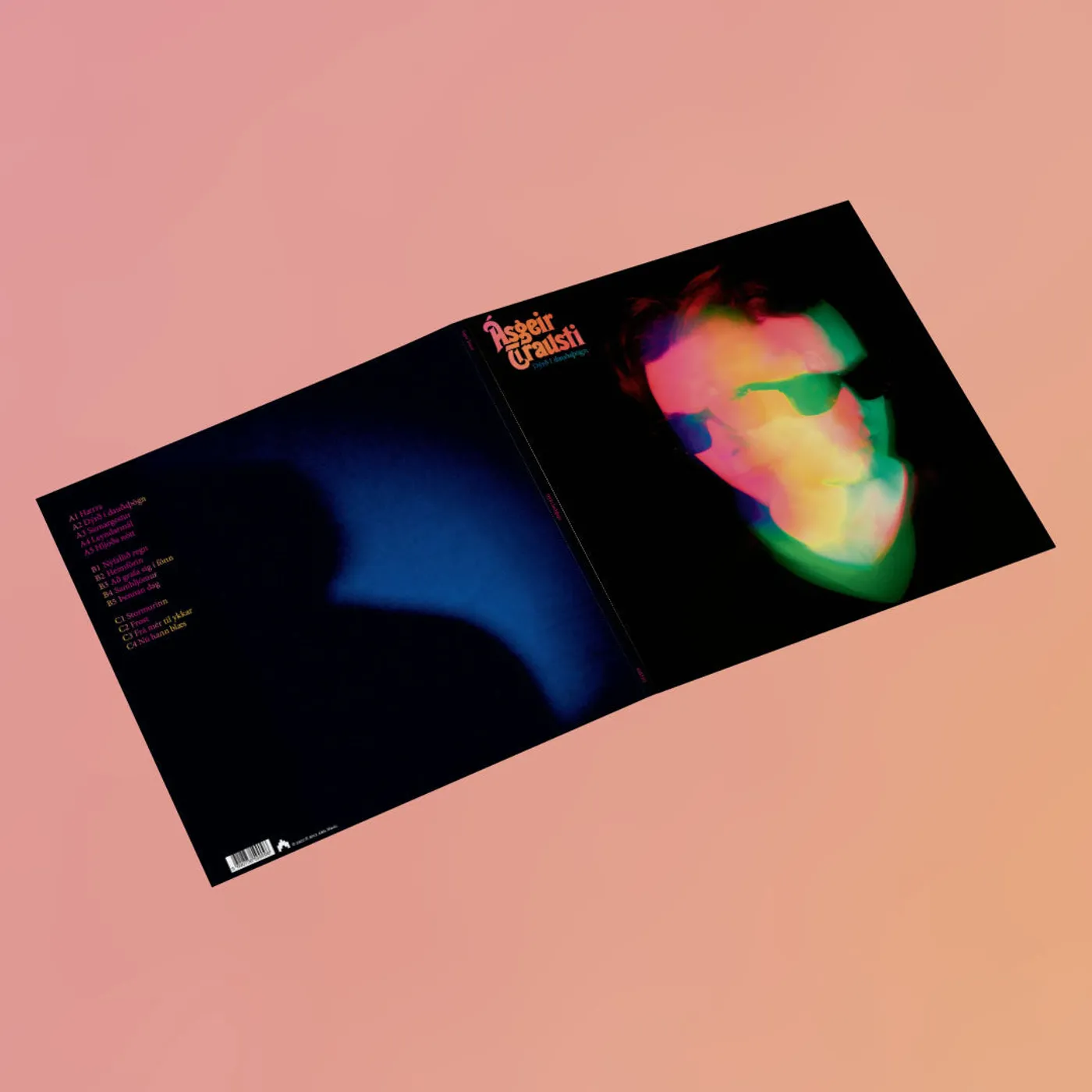 Ásgeir Trausti - Dýrð í dauðaþögn (10 ára afmælisútgáfa)