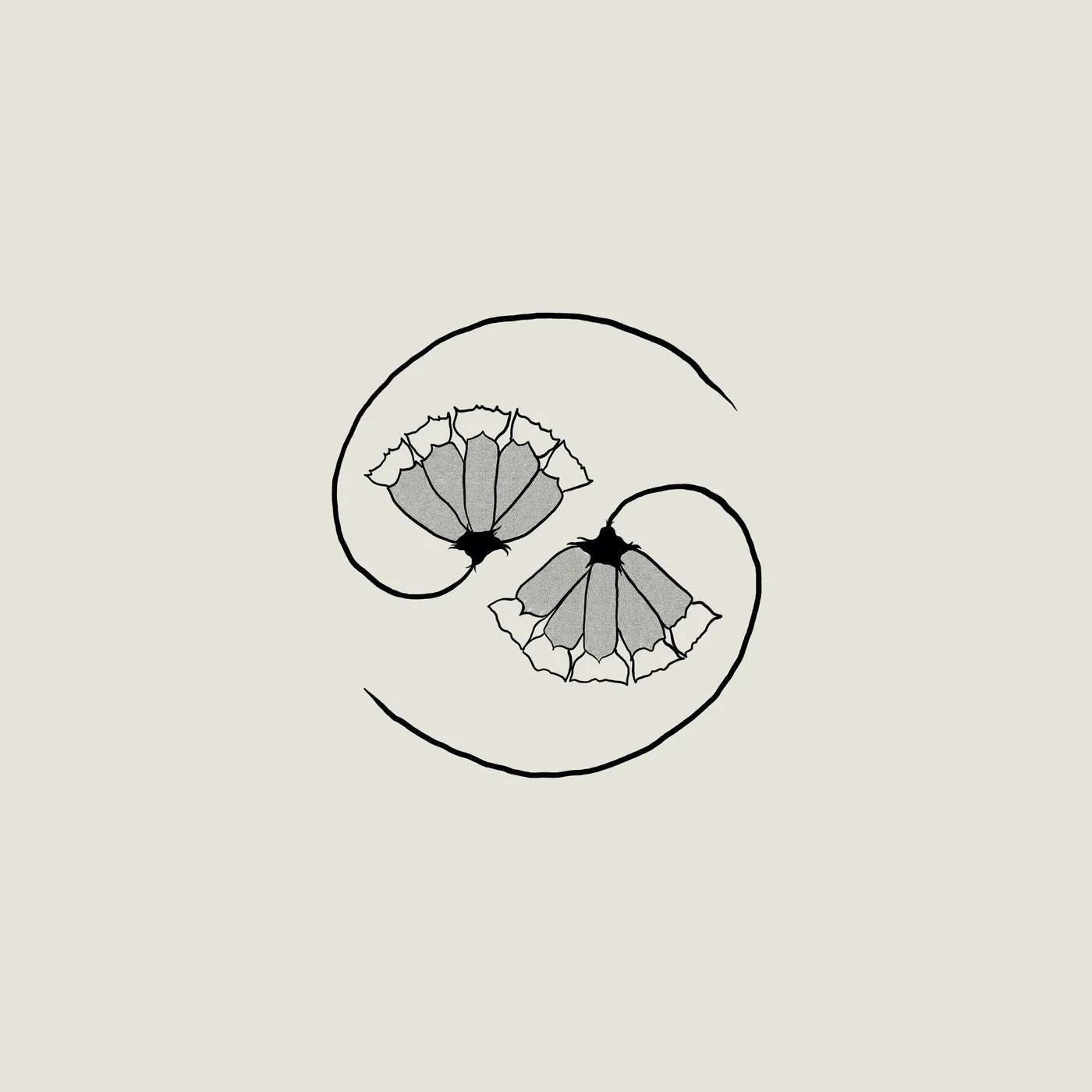 Godspeed You! Black Emperor - G D's Pee at State's End