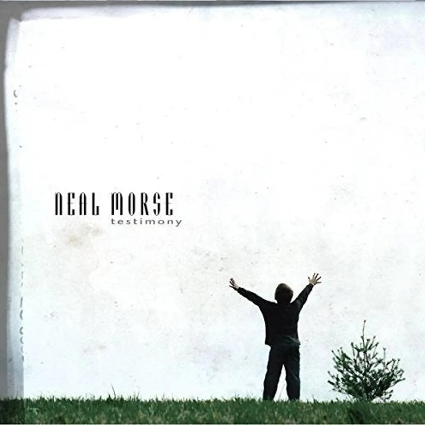 Neal Morse - Testimony