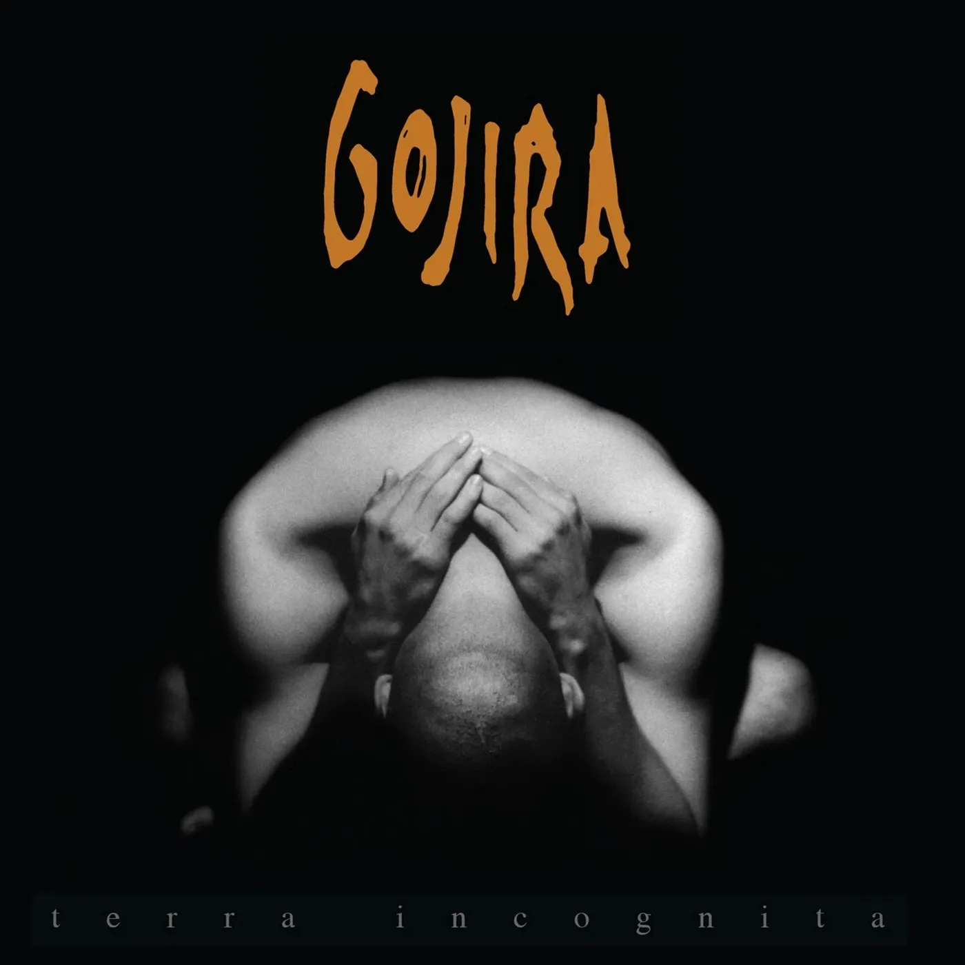 Gojira - Terra Incognita