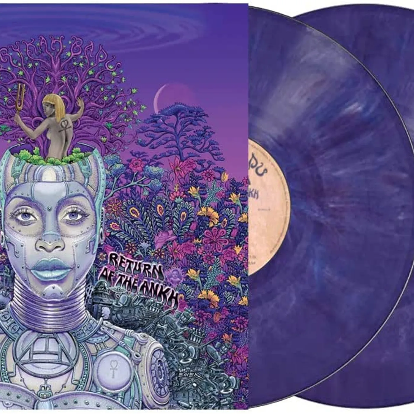 Erykah Badu - New Amerykah Part Two