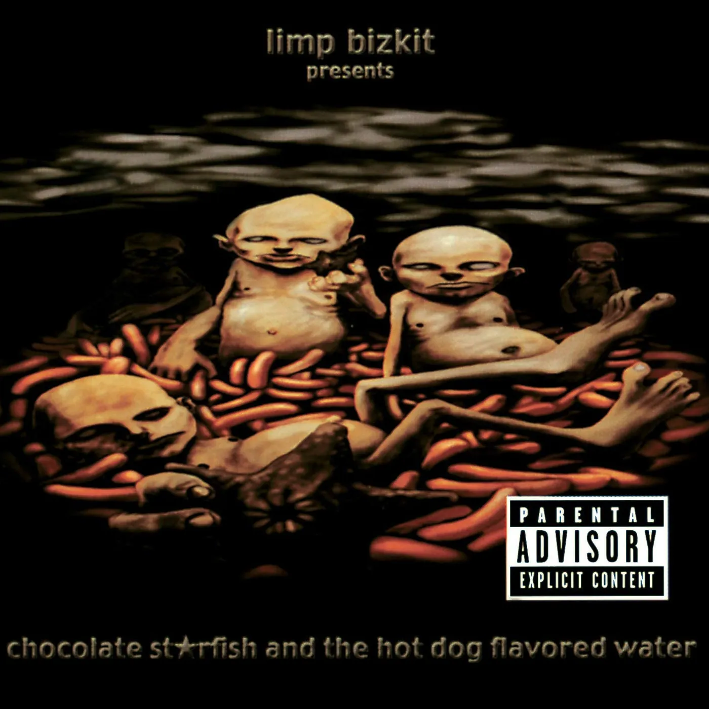 Limp Bizkit - Chocolate Starfish And The Hot Dog.. CD