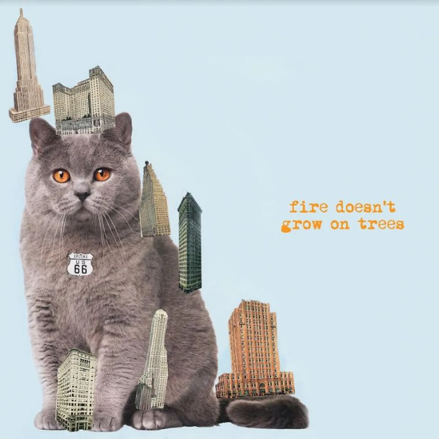 The Brian Jonestown Massacre - Fire Doesn't Grow On Trees