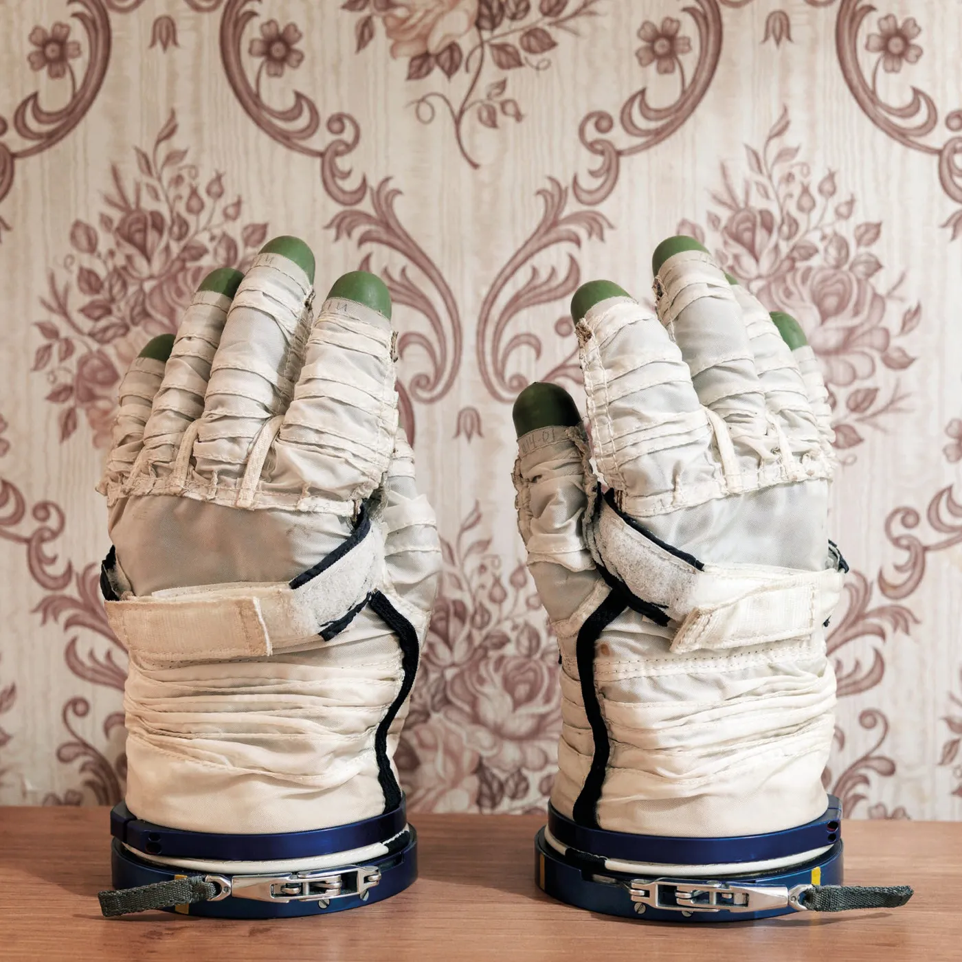 David Sylvian, Stephan Mathieu - Wandermude