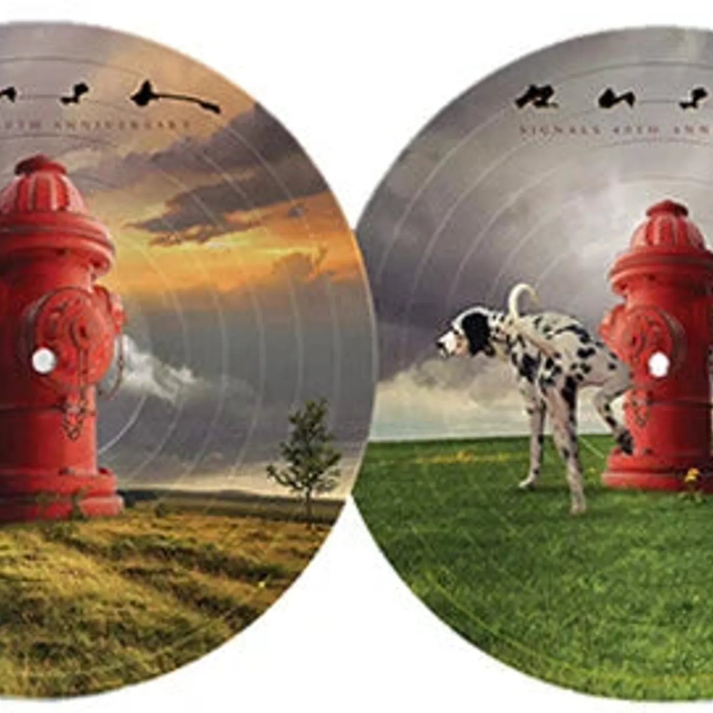 Rush - Signals (40th)