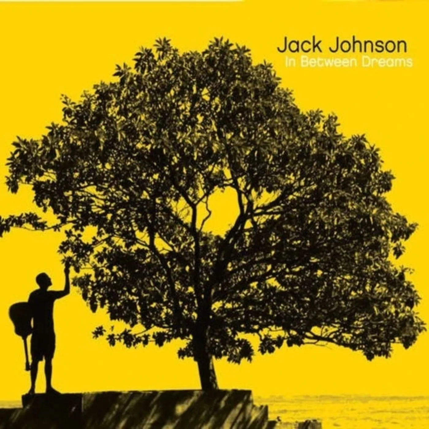 Jack Johnson - In Between Dreams.. (Vinyl)