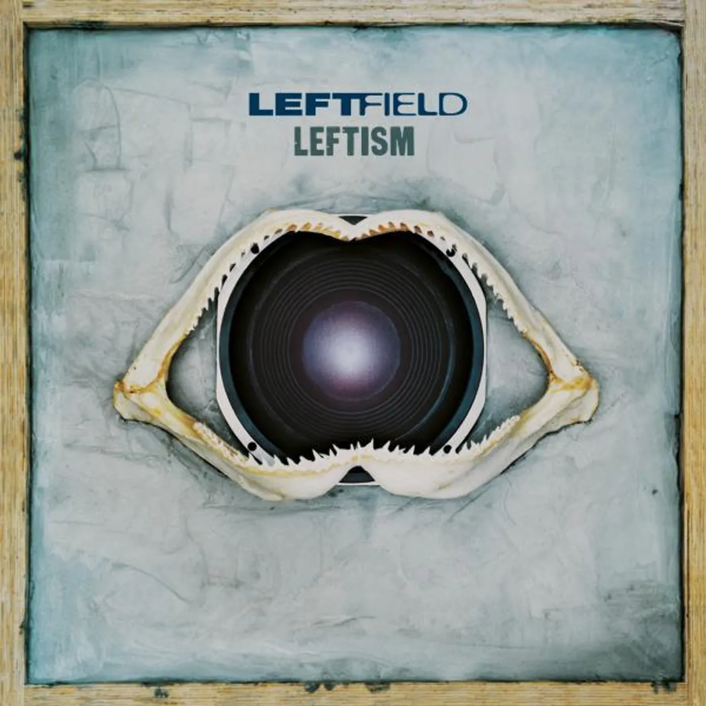 Leftfield - Leftism
