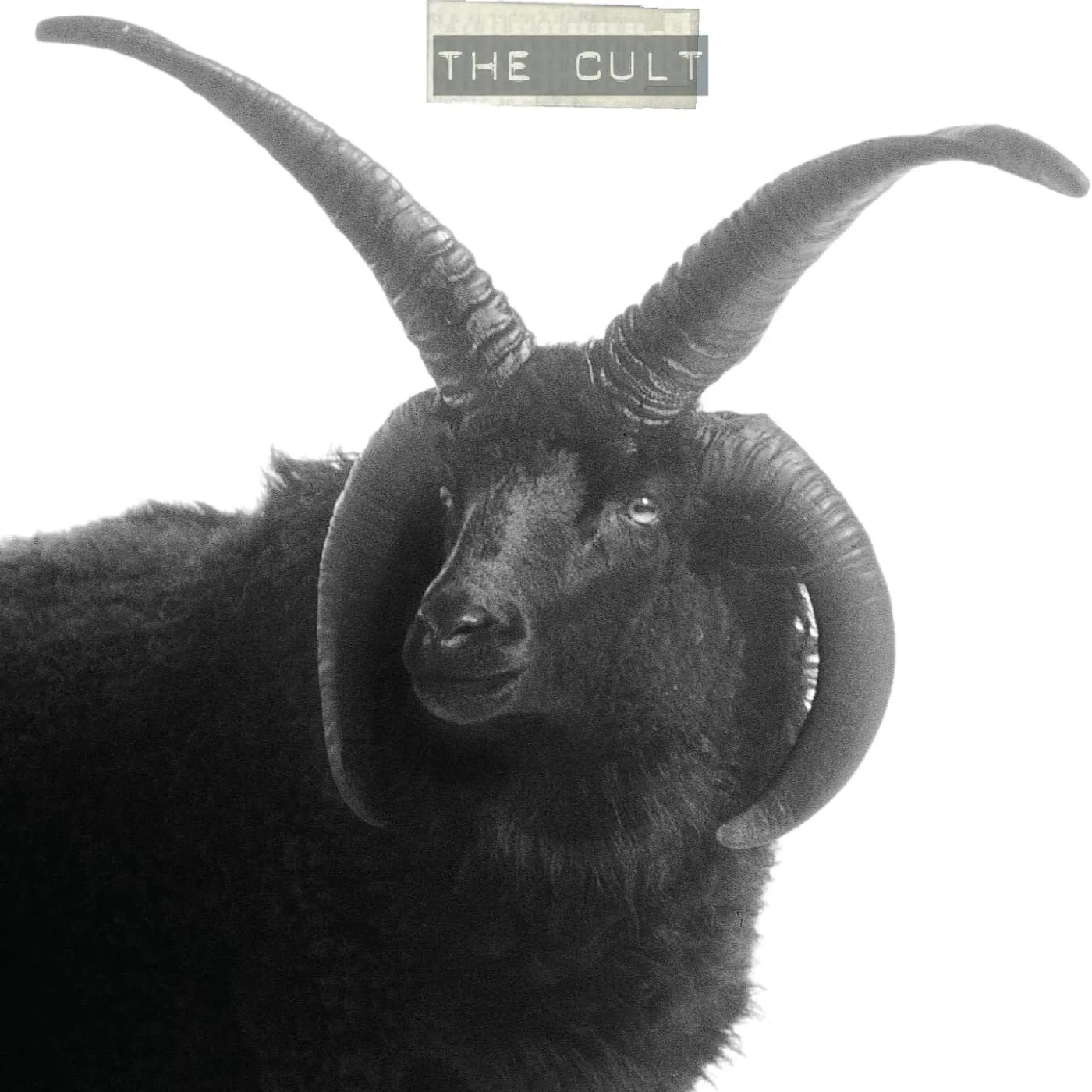 Cult - The Cult