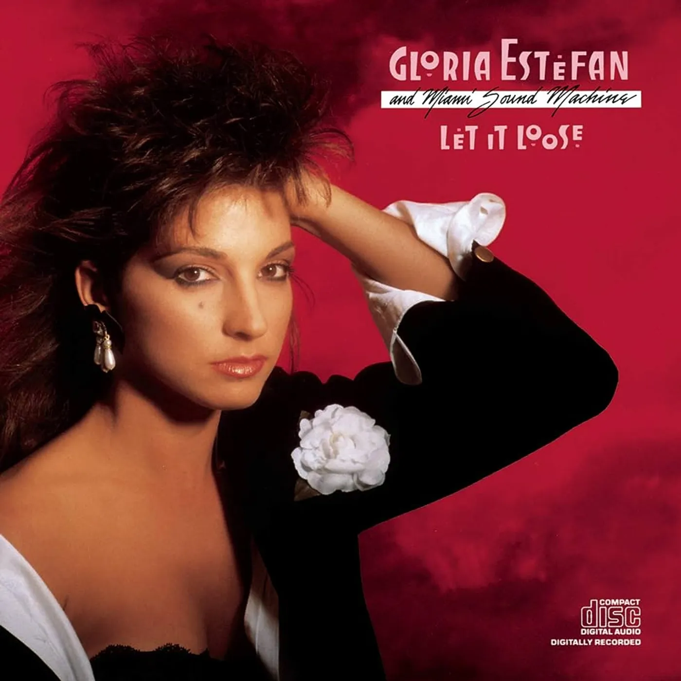 Gloria Estefan & Miami Sound Machine - Let It Loose
