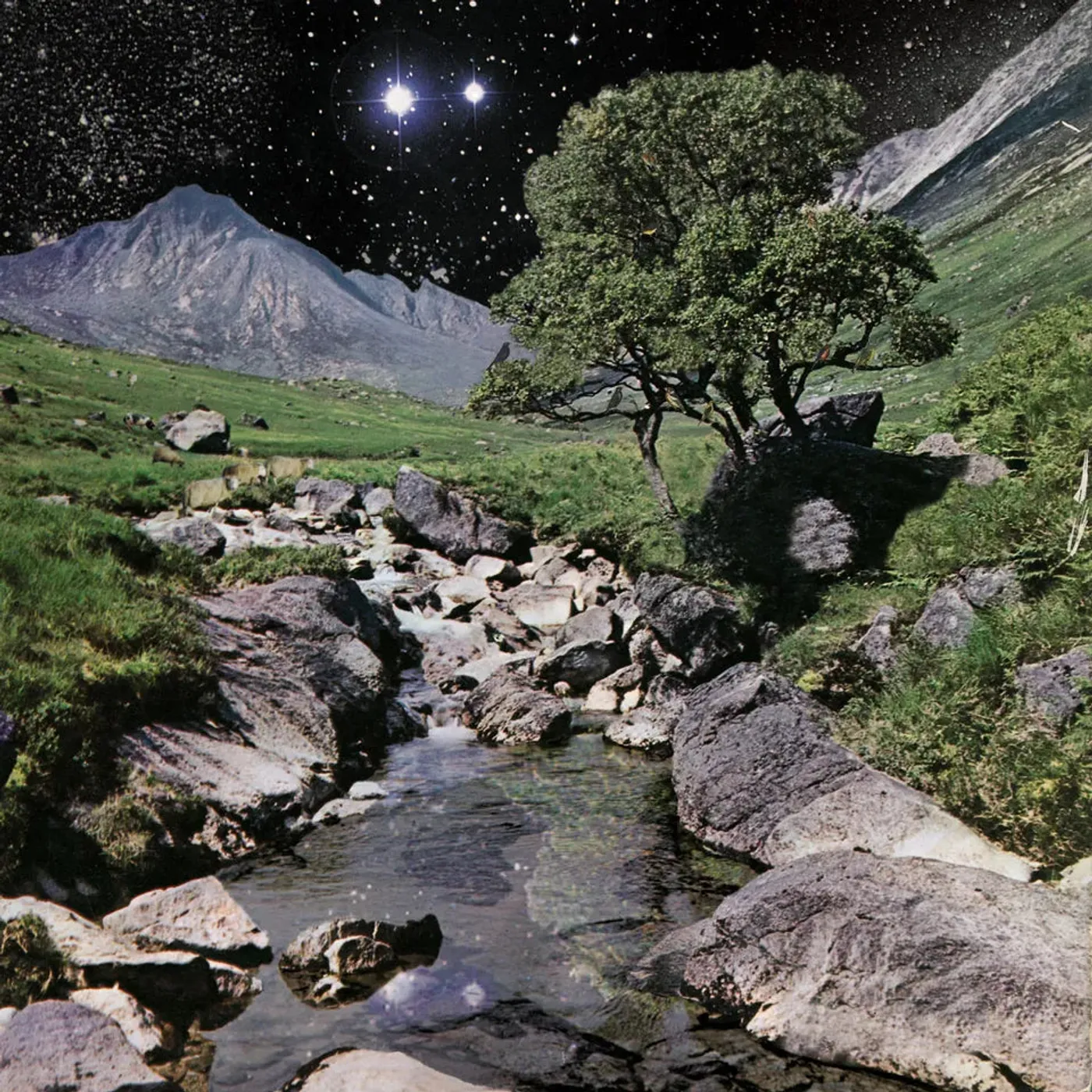 The Beta Band - Beta Band