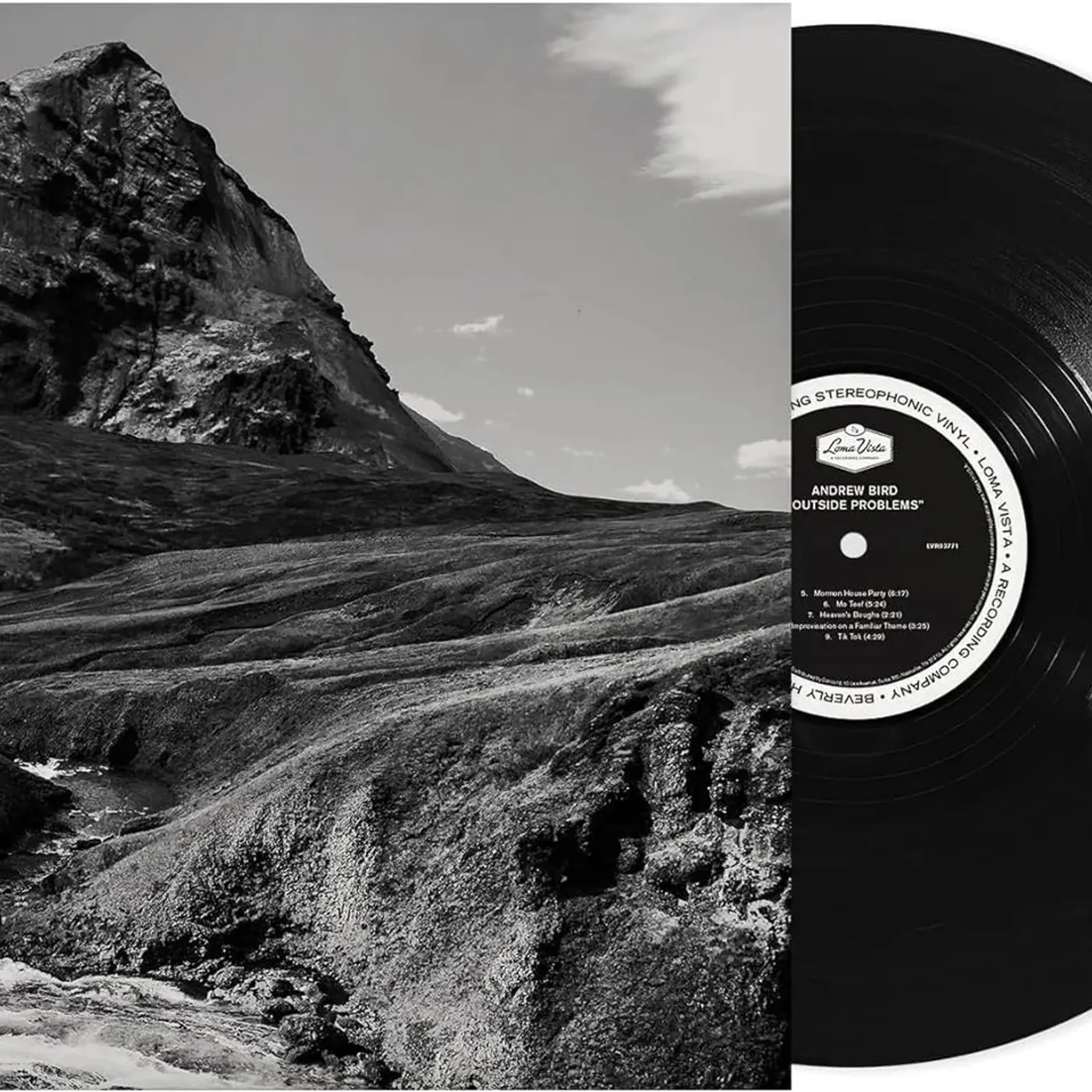 Andrew Bird - Outside Problems