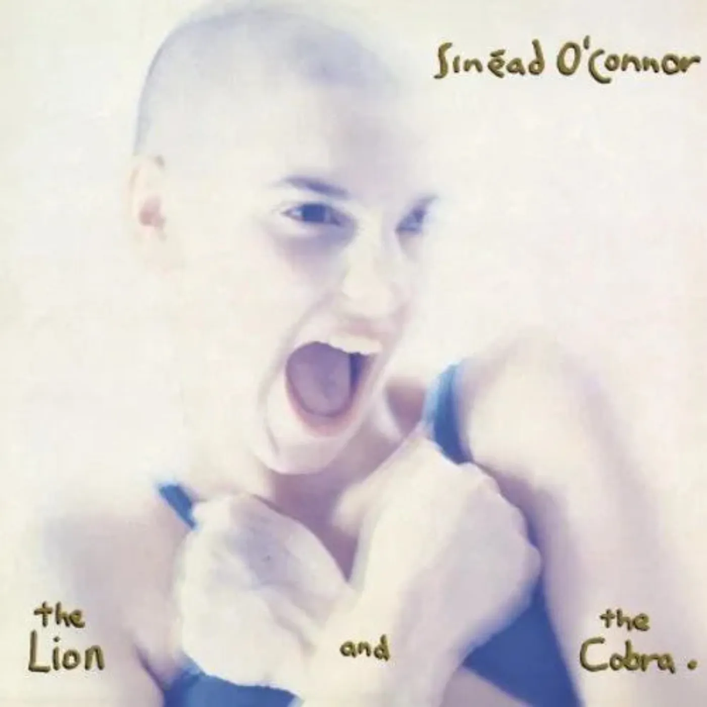 Sinéad O'Connor - Lion and the Cobra