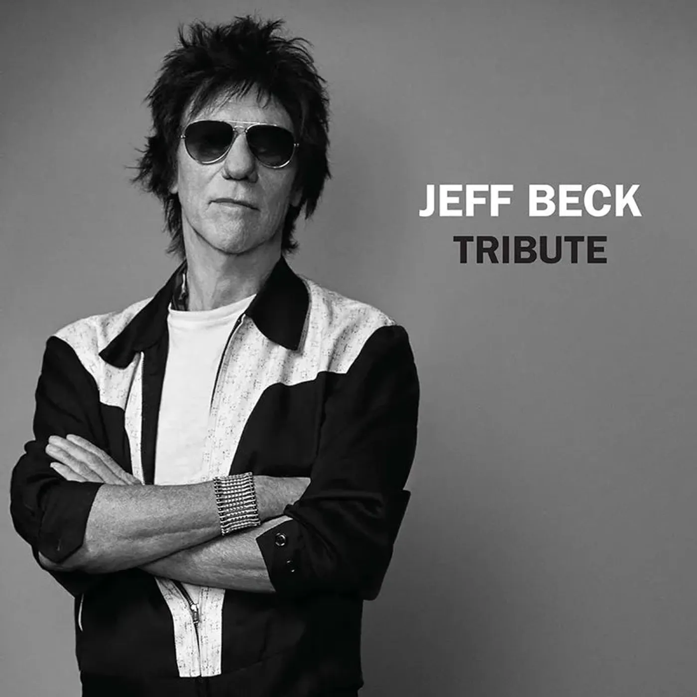 Jeff Beck - Tribute RSD 2023 (Vinyl)
