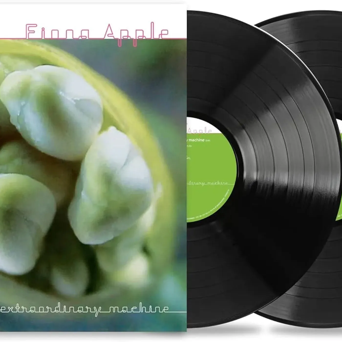 Fiona Apple - Extraordinary