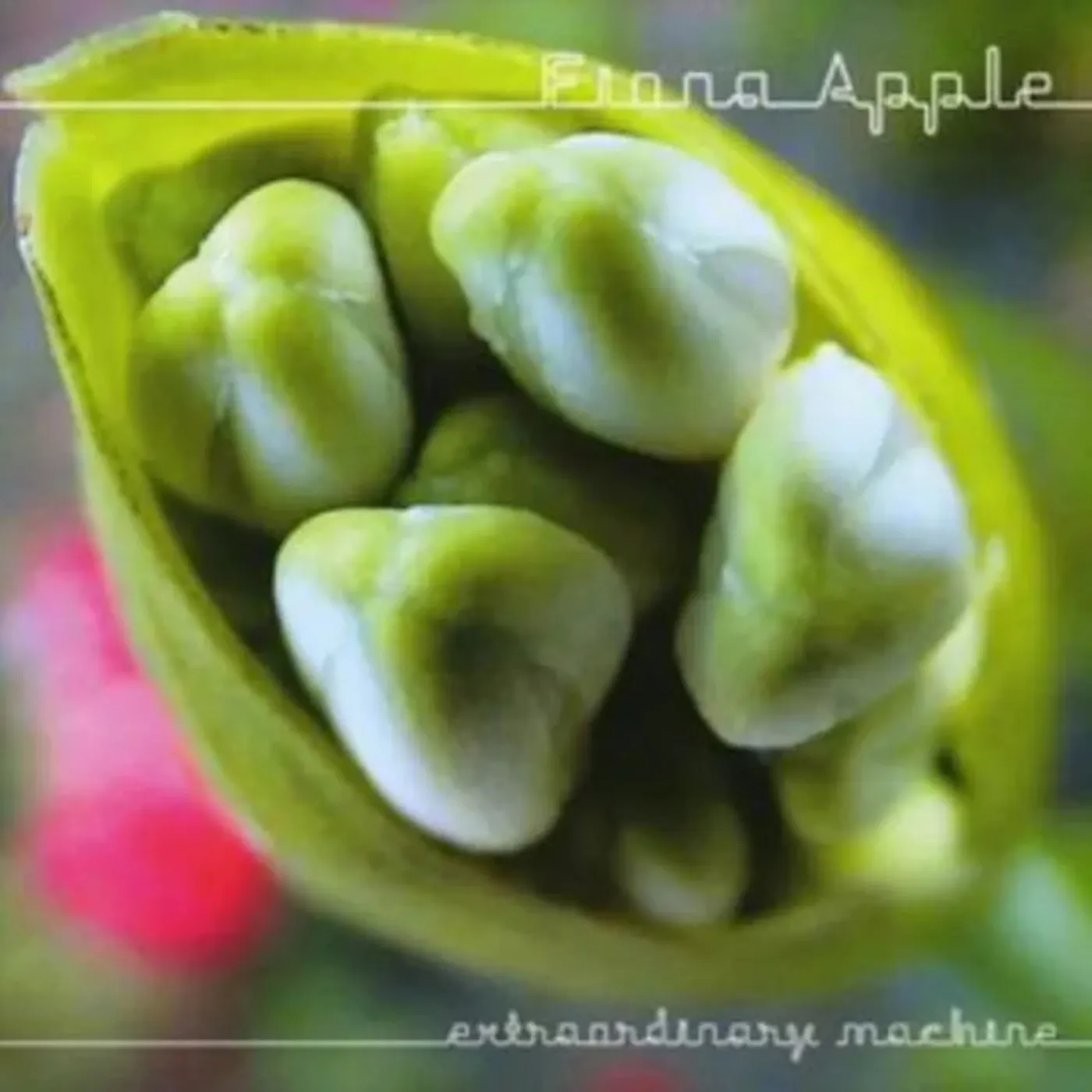 Fiona Apple - Extraordinary