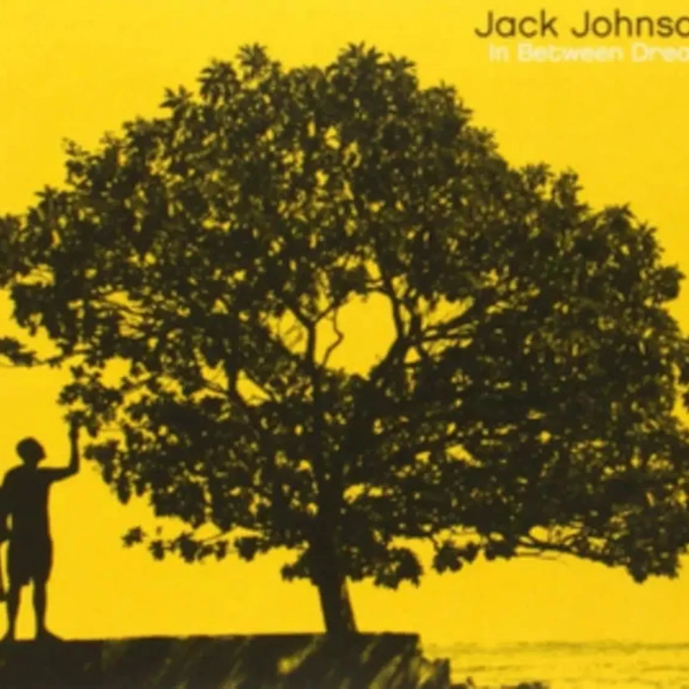 Jack Johnson - In Between Dreams