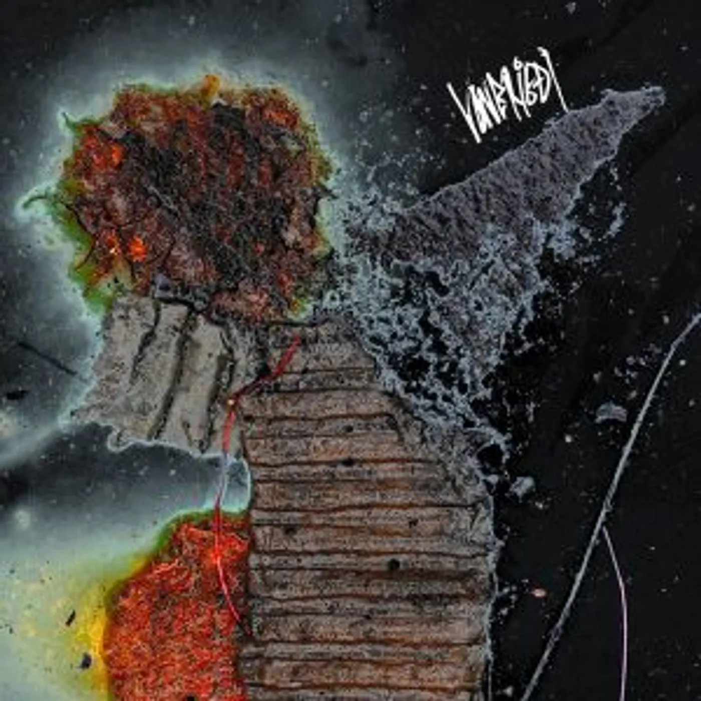 Vonbrigði - Sauðanes