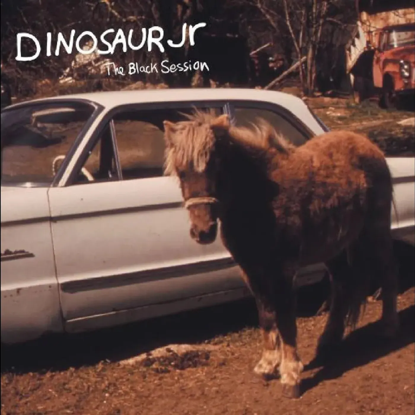 Dinosaur Jr. - The Black Sessions: Live Paris 1993