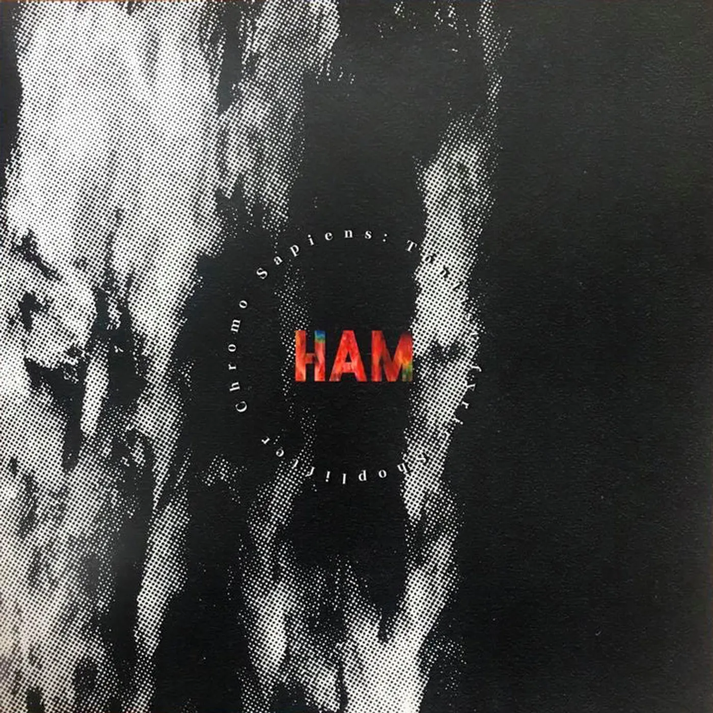 Ham Chromo Sapiens: Tónlist fyrir Shoplifter