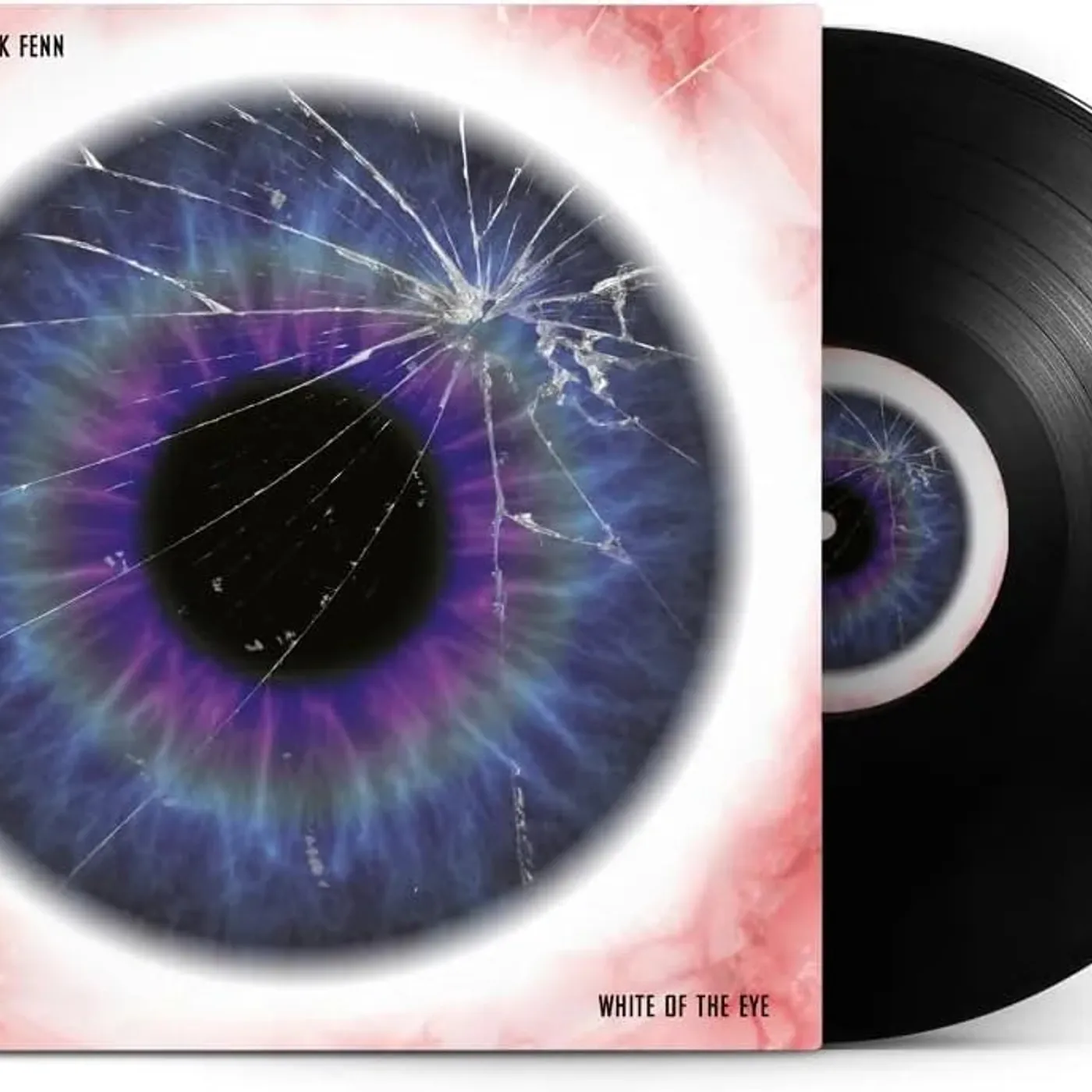 Nick Mason, Rick Fenn - White of the Eye