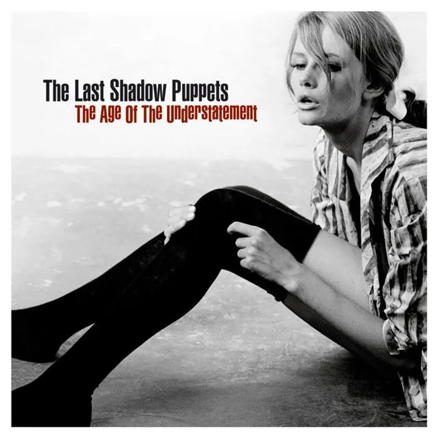 The Last Shadow Puppets The Age Of The Understatement