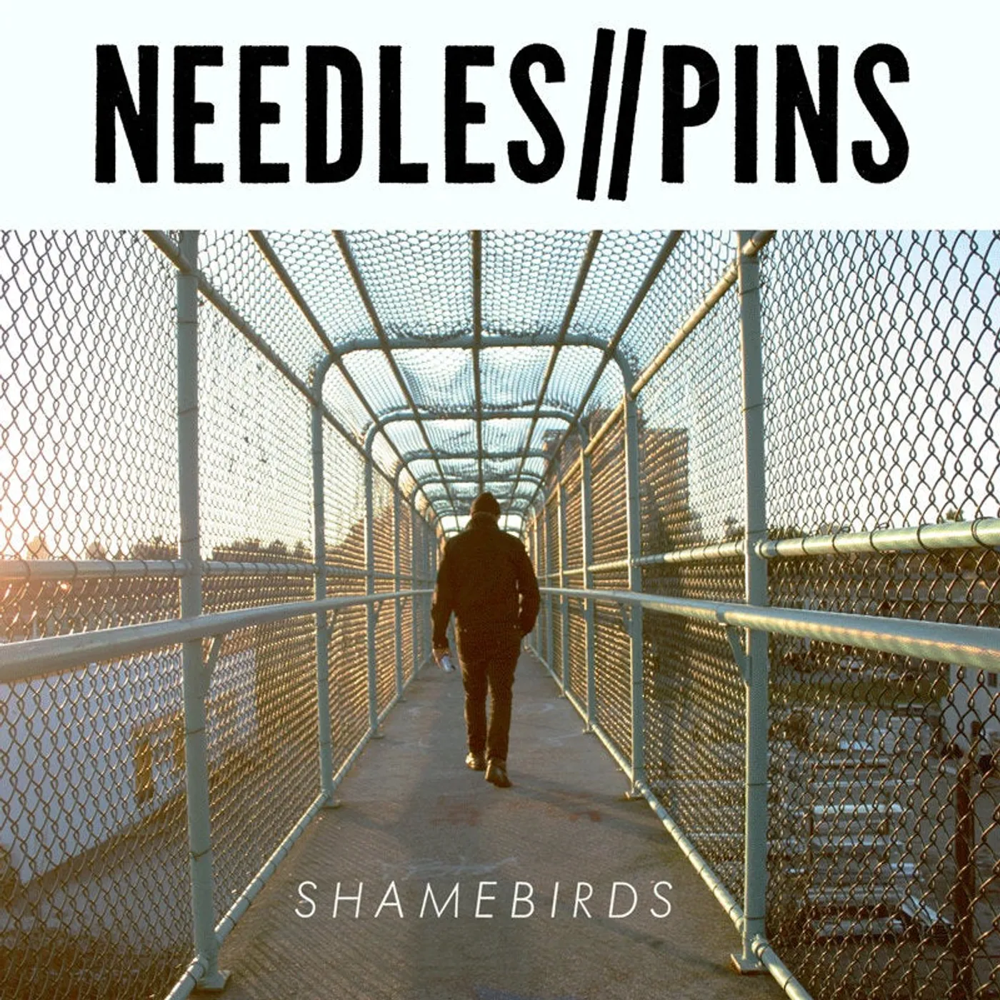 Needles//Pins Shamebirds lp