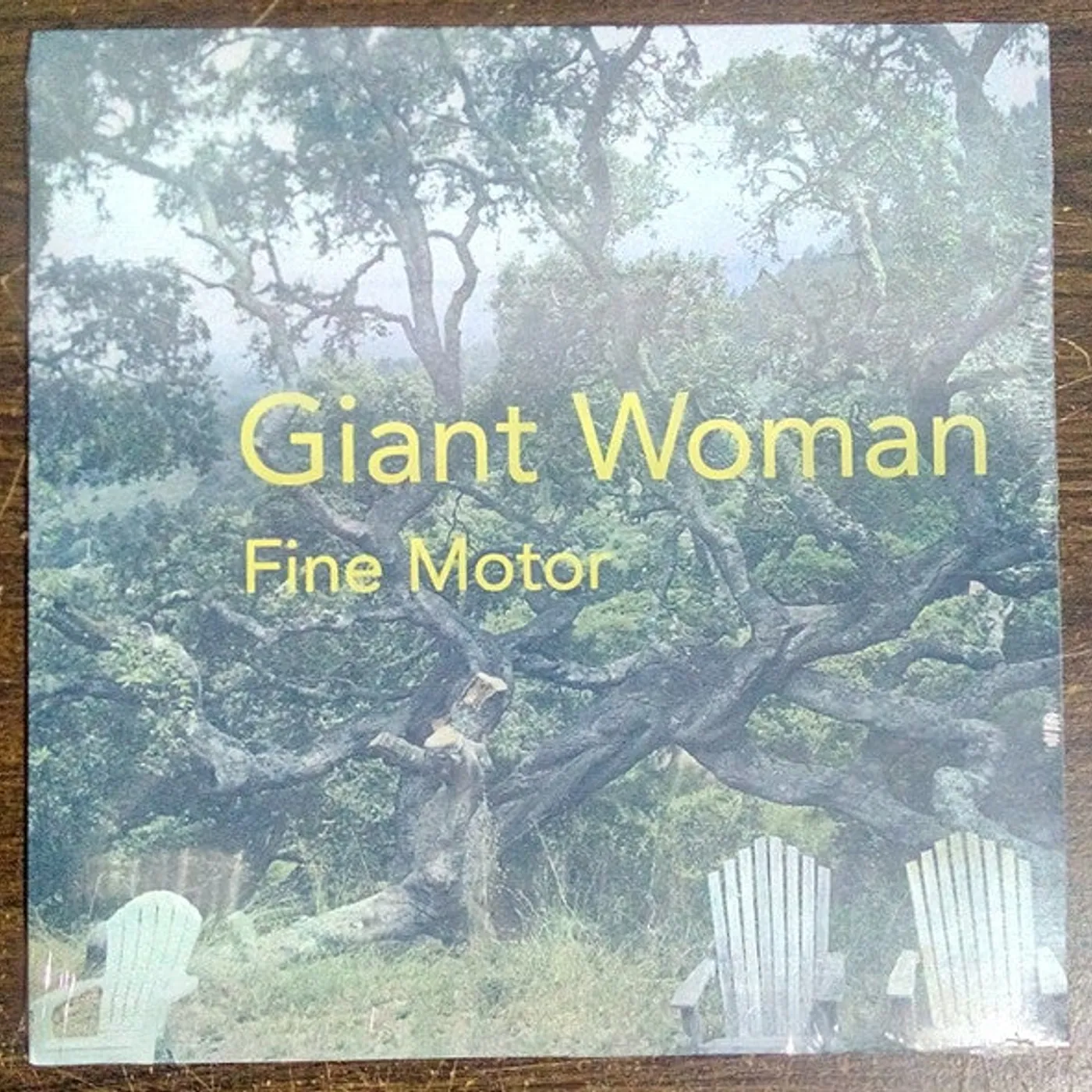 Fine Motor - Giant Woman lp - the edges of the cover have very light wear from shipping to the vendor (Vinyl)