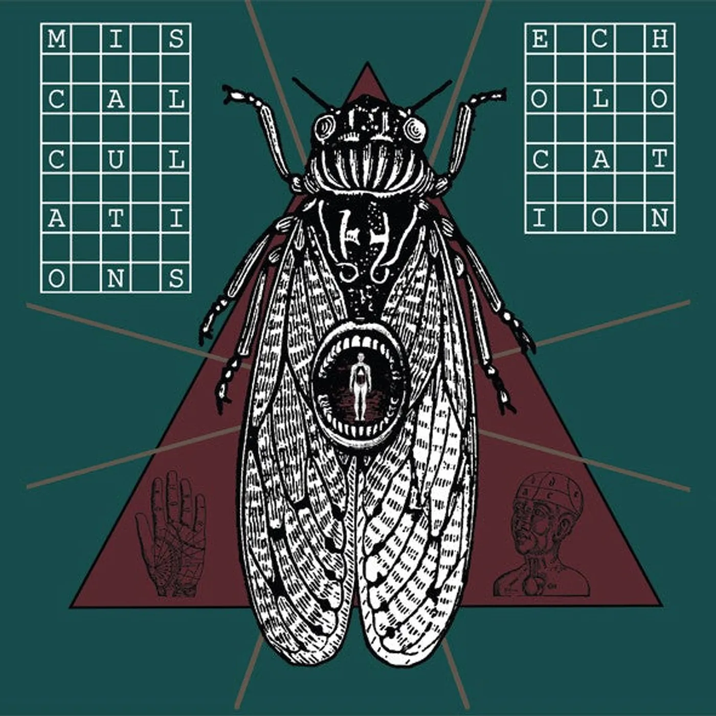 Miscalculations – Echolocation lp (Vinyl)