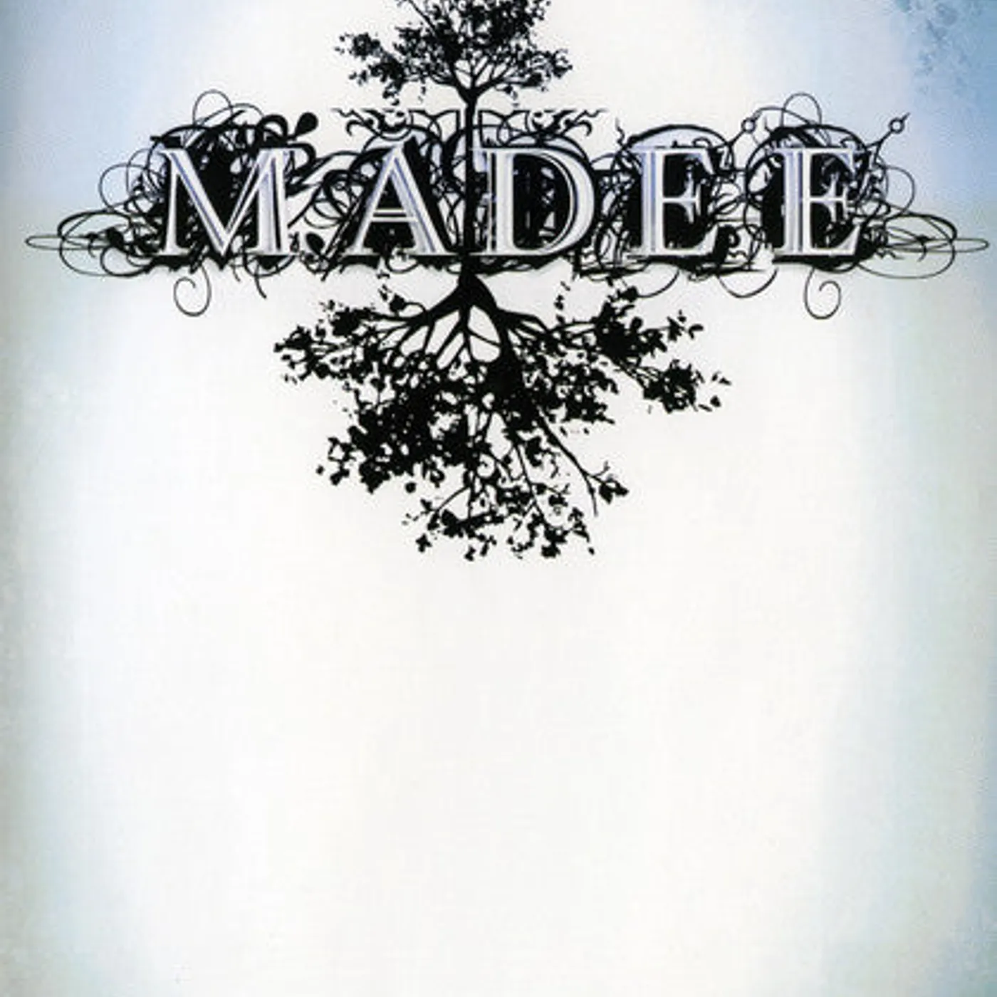 Madee – We Should Take Our Chances DVD