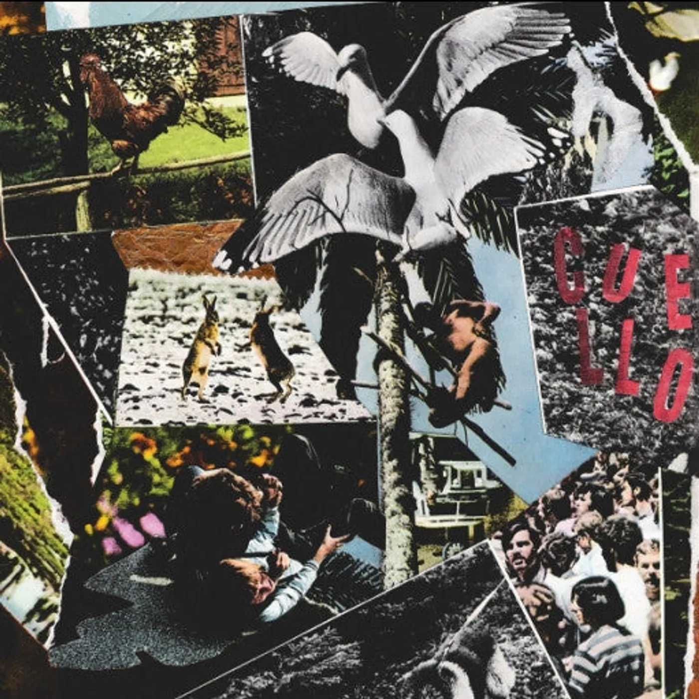 Cuello – Modo Eterno LP (Vinyl)