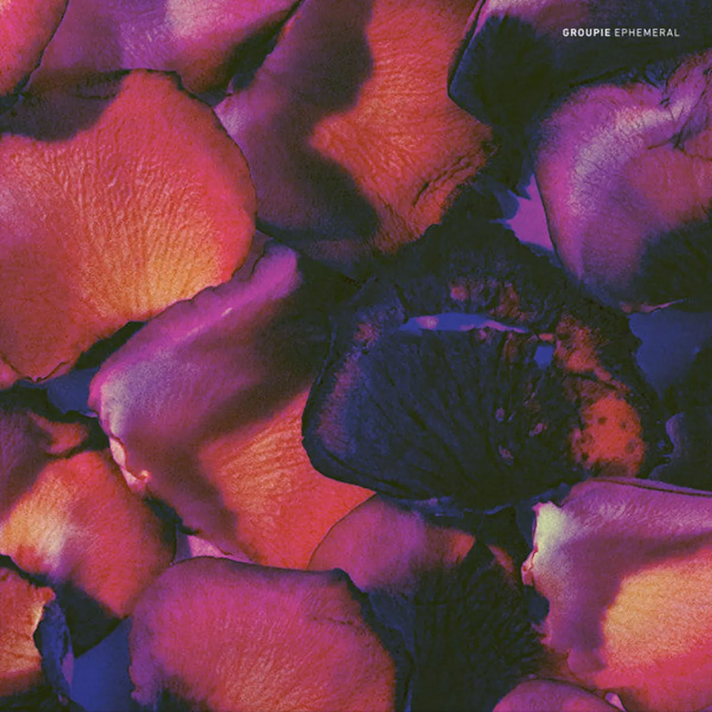  Groupie ‎– Ephemeral lp (Vinyl)