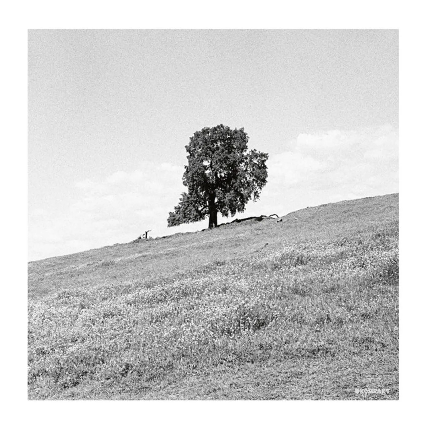 Blank Gloss Cornered Vinyl Record